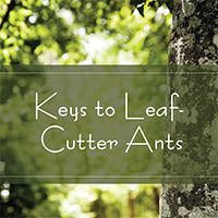Keys to Leaf-Cutter Ants Keys to Leaf-Cutter Ants